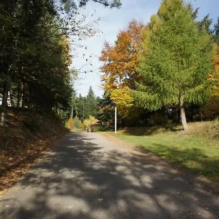 Entre Foret Et Vignoble ! Apartment Turckheim