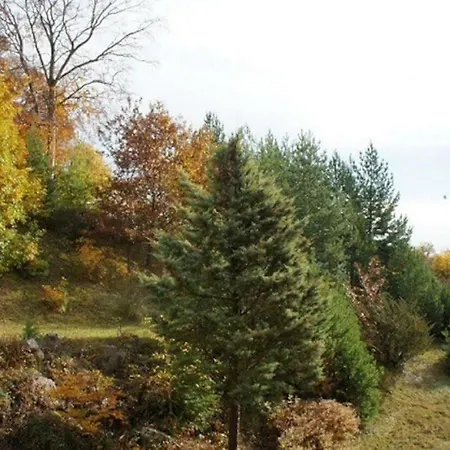 Entre Foret Et Vignoble ! Turckheim