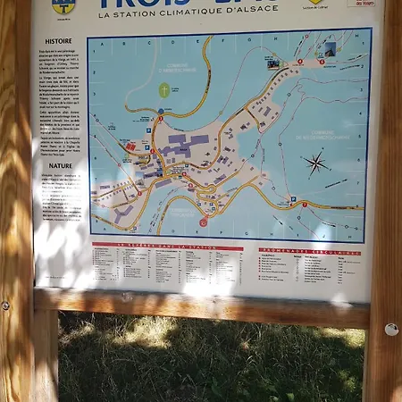 Entre Foret Et Vignoble ! Turckheim