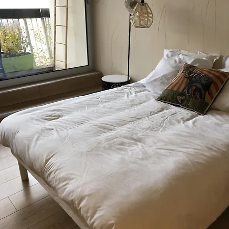 Entre Foret Et Vignoble ! Turckheim