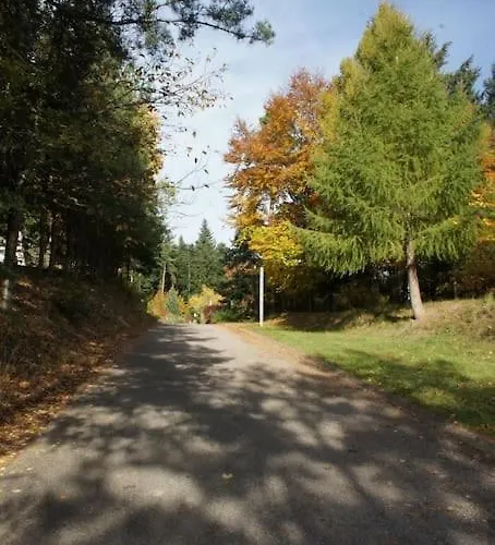 Entre Foret Et Vignoble ! Apartment Turckheim