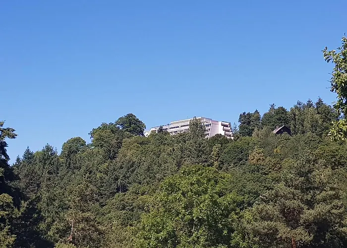 Entre Foret Et Vignoble ! * Turckheim