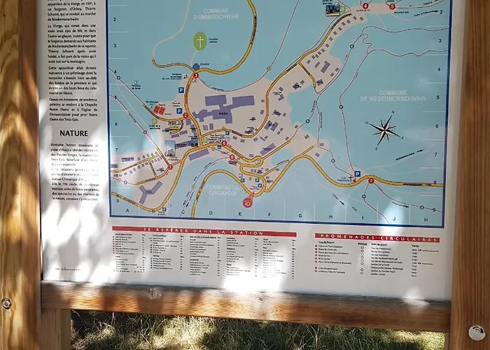 Entre Foret Et Vignoble ! Turckheim